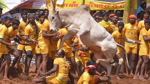 இரண்டாம் சுற்று