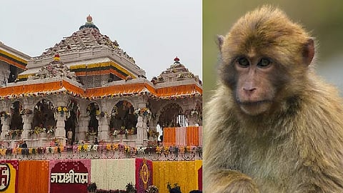 அயோத்தி கோயில்