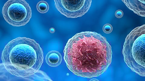 புற்று நோய்