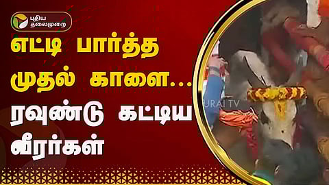 அவனியாபுரத்தில் ஜல்லிக்கட்டு