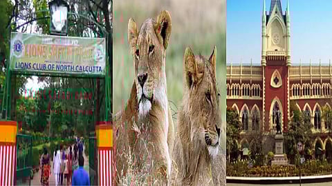 சிலிகுரி பூங்கா, கொல்கத்தா உயர்நீதிமன்றம்