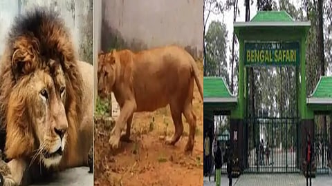 மேற்கு வங்கம்