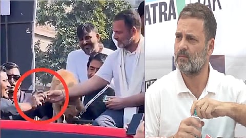 ராகுல் காந்தி