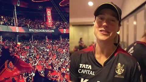 எல்லிஸ் பெர்ரி