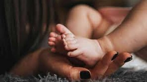 மாதிரி புகைப்படம்