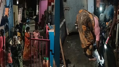 பாம்பு குட்டிகளை தேடும் மக்கள்