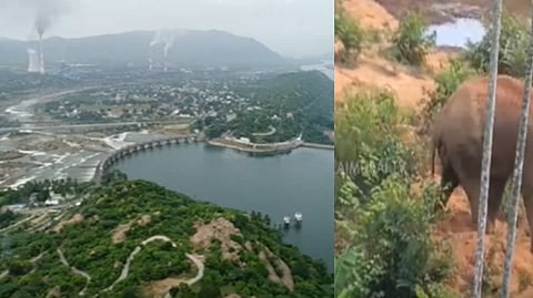 இன்றைய காலை தலைப்புச் செய்திகள்