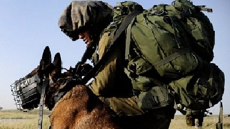 இஸ்ரேல் - பாலஸ்தீனம்