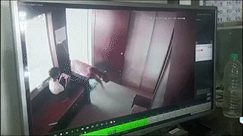 அறைக்குள் நுழையும் சிறுத்தை