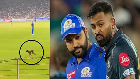 ரோகித் சர்மா, ஹர்திக் பாண்டியா