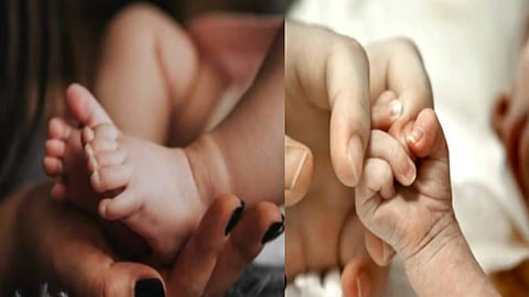 பிறப்பு விகிதம்