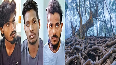 மஞ்ஞுமல் பாய்ஸ்