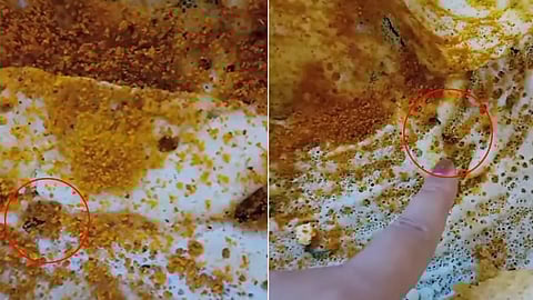 தோசையில் கரப்பான்பூச்சி