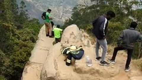 டால்பின் நோஸ்