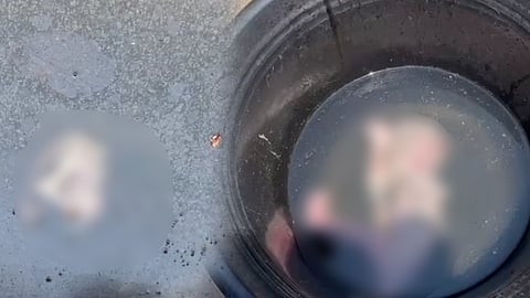 மீட்கப்பட்ட சடலம்