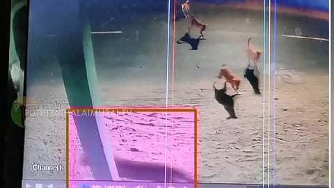 சிசிடிவி காட்சியில் பதிவான சிறுத்தைப்புலி நடமாட்டம்