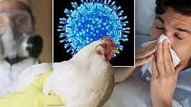 பறவைக்காய்ச்சல்