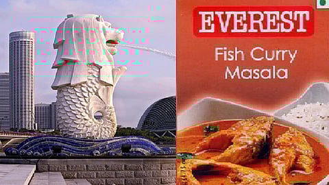 சிங்கப்பூர், எவரெஸ்ட் மசாலா
