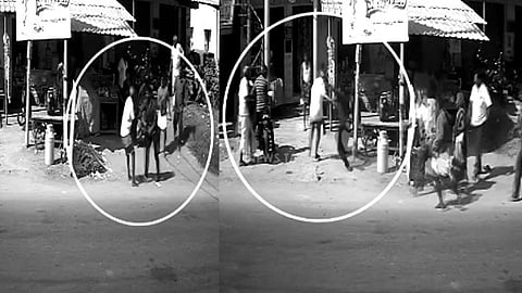 கிருஷ்ணகிரி