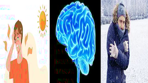 மருத்துவ ஆய்வு