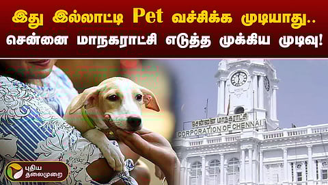 வளர்ப்பு நாய்