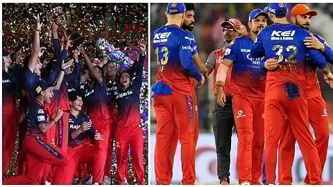 RCB Women vs Men Team