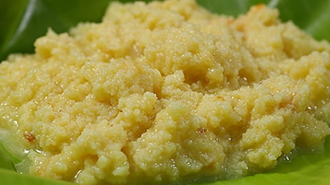 பால்கோவா