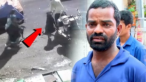 குழந்தையின் தந்தை