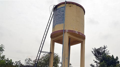 வேங்கை வயல்