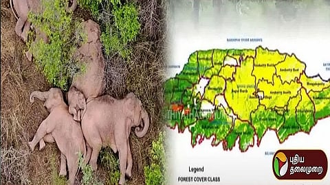 யானை வழித்தடம்