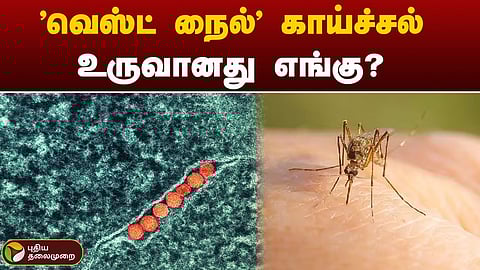 வெஸ்ட் நைல்