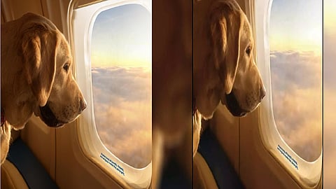 பார்க் ஏர்