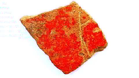 பானை ஒடு