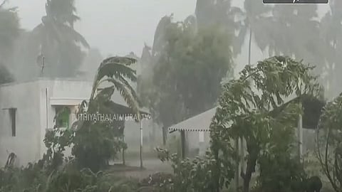 தமிழ்நாட்டின் பல்வேறு பகுதிகளில் மழை