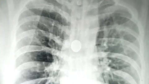 உத்தரப்பிரதேசம்