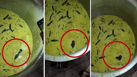 சட்னியில் விழுந்த எலி