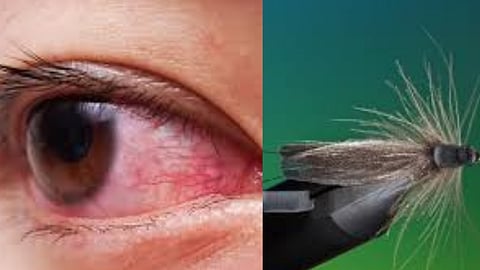 சீன நபர்