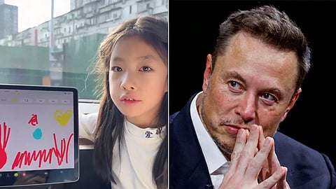 மோலி, எலான் மஸ்க்