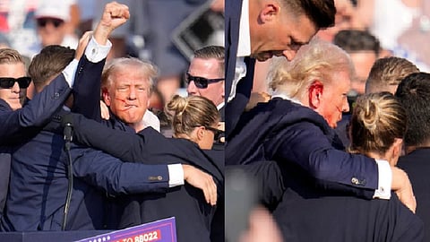 ட்ரம்ப்