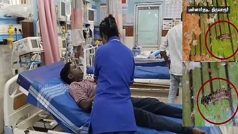 உணவில் கிடந்த கம்பளி பூச்சி