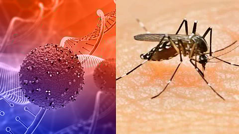 சண்டிபுரா வைரஸ்