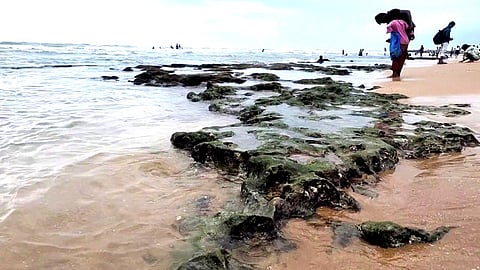 உள்வாங்கிய கடல்