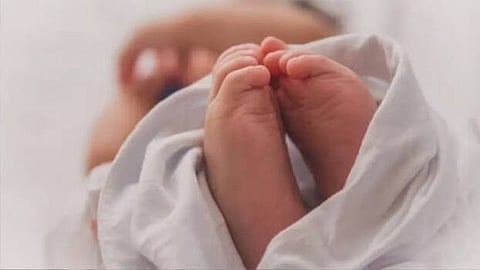 மாதிரிப்படம்