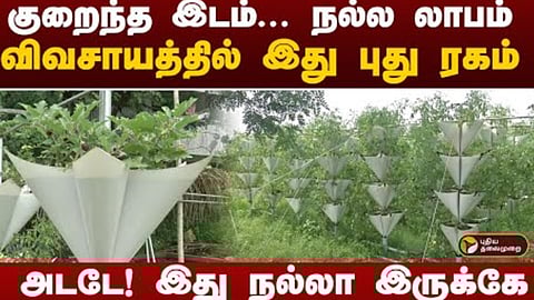 விவசாயத்தில் புது ரகம்