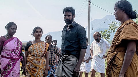 கொட்டுக்காளி