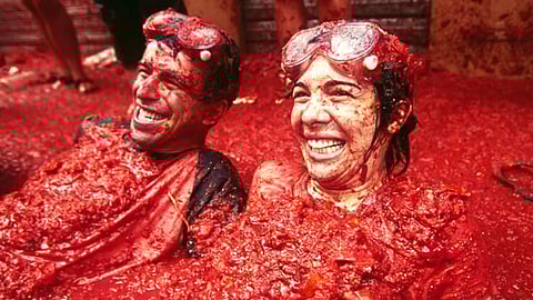 தக்காளி திருவிழா