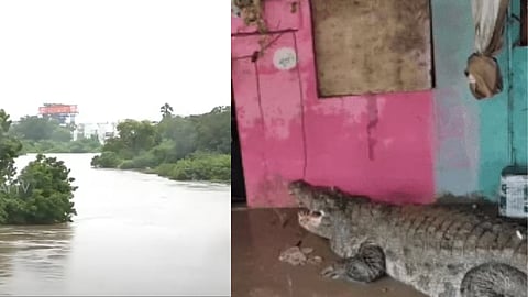 குஜராத்