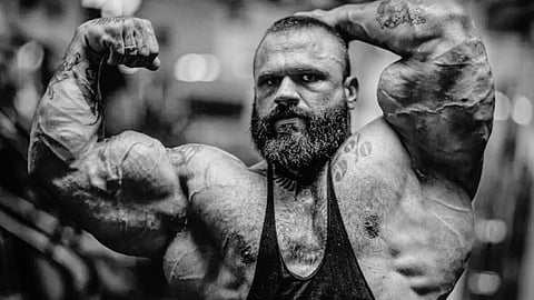 இலியா யெஃபிம்சிக்