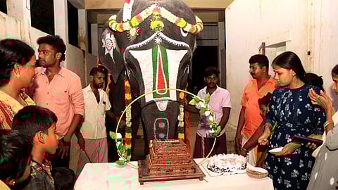 அழகர்கோவில் யானை பிறந்தநாள்