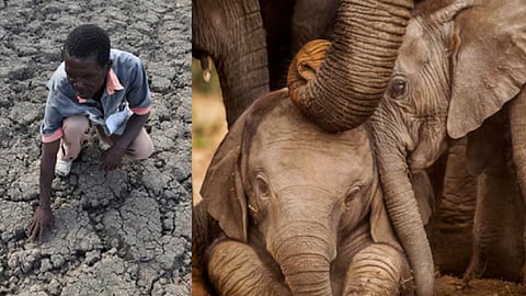 ஜிம்பாப்வே